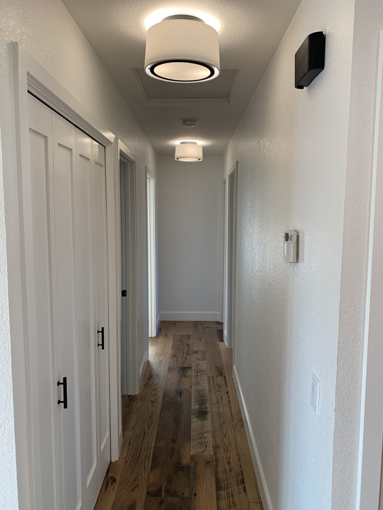 IMG_5169-768x1024 image